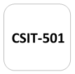 IMPORTANT QUESTIONS CSIT-501 Computer Networking (CN)