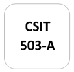 IMPORTANT QUESTIONS CSIT-503 (A) Theory of Computation (TOC)