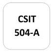 IMPORTANT QUESTIONS CSIT-504 (A) Cyber Security (CS)
