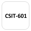 IMPORTANT QUESTIONS CSIT-601 Software Engineering & Agile