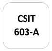 IMPORTANT QUESTIONS CSIT-603 (A) Wireless & Mobile Computing (WMC)