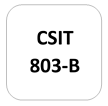 IMPORTANT QUESTIONS CSIT-803(B) Quantum Computing (QC)